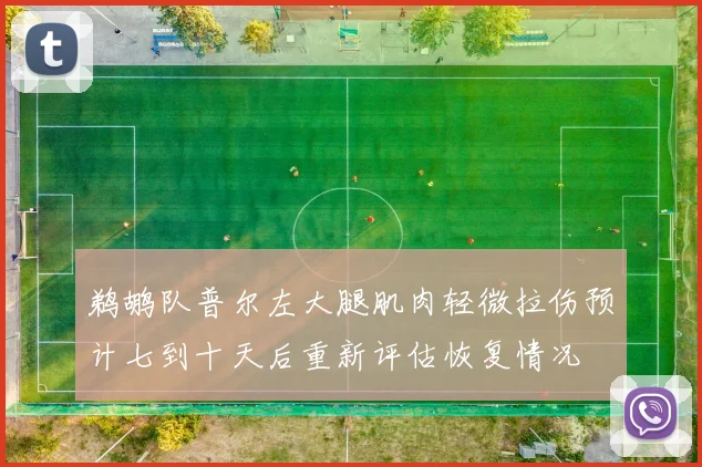 鹈鹕队普尔左大腿肌肉轻微拉伤预计七到十天后重新评估恢复情况